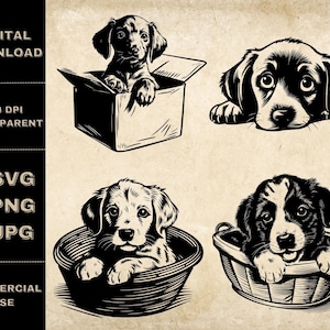 Chiot SVG Bundle, PNG, Clipart chien mignon, Illustration vectorielle de beaux chiots dessinés à la main, fichiers SVG pour la gravure au Laser