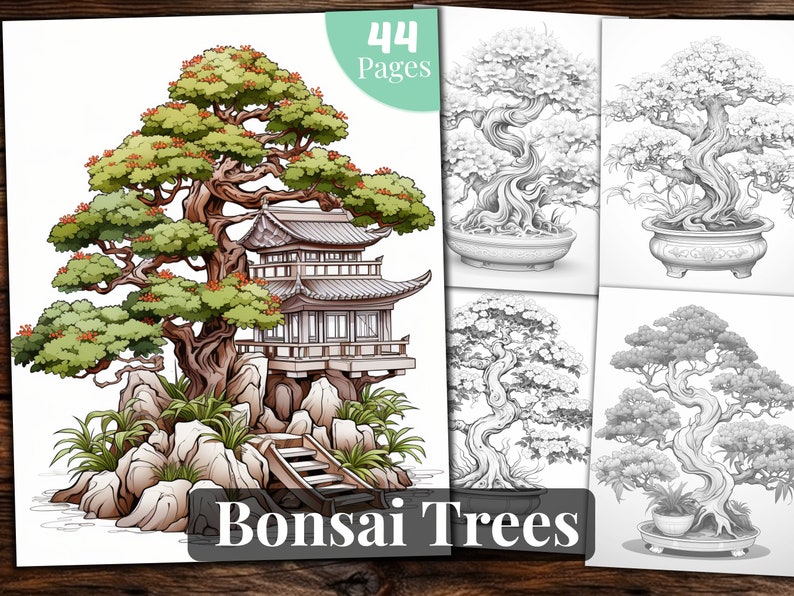 Bonsai Tree Coloring Book: 44 Printable Pages (PDF) - Etsy