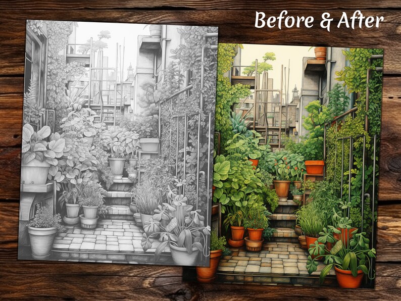 May include: A black and white pencil drawing of a small, urban garden with a brick pathway leading up a set of stairs. The garden is filled with potted plants and flowers, and there are buildings in the background.