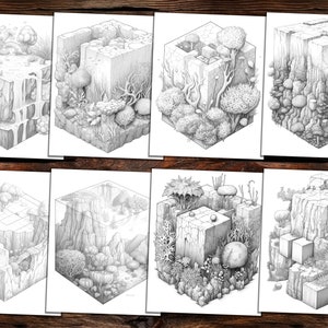 Biome Cube Coloring Book: Fantasy Landscape Grayscale (PDF) - Etsy