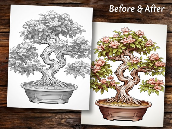 Bonsai Tree Coloring Book, 44 Coloring Pages, for Adults and