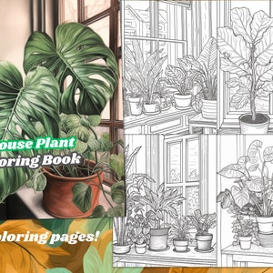 House Plant Coloring Page Book, Adults & kids, Instant Download, Printable PDF