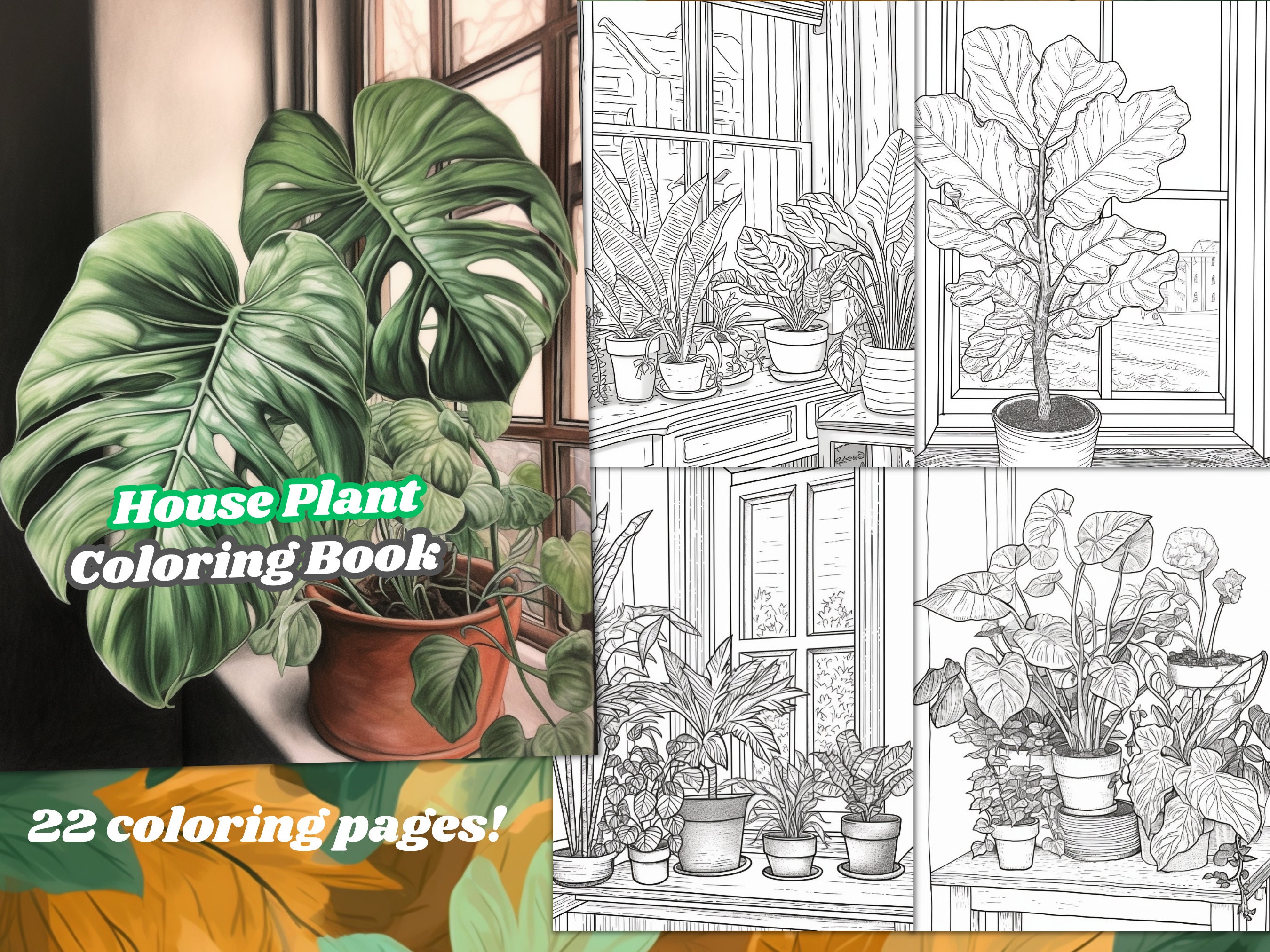 House Plant Coloring Page Book, Adults & Kids, Instant Download ...