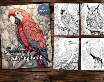 Set Di Libri Da Colorare Per Adulti - Disegni Mandala, Libro Da