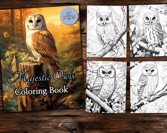 Op de afbeelding: Een kleurboek met majestueuze uilen. De omslag toont een bruine en witte kerkuil die op een boomstronk zit in een bosrijke omgeving. De titel "Majestic Owls Coloring Book" staat onder de uil gedrukt. Het boek heeft 27 pagina's.