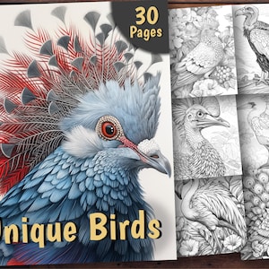 Unique Birds Coloring Book, 30 Coloring Pages, For Adults and Kids, Grayscale Coloring Book, Printable PDF