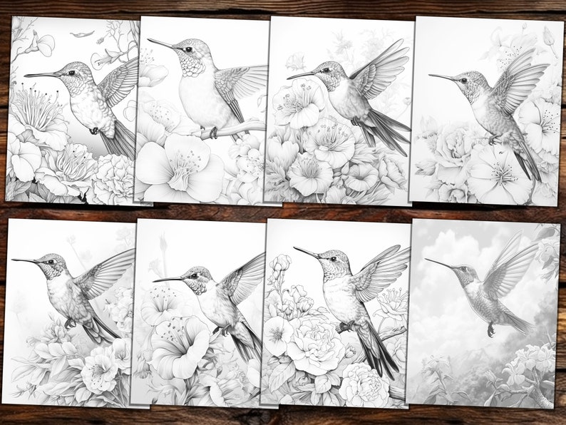 Hummingbirds Coloring Book: 23 Grayscale Pages (printable PDF) - Etsy