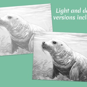 Underwater Animals Coloring Page Book, Adults & Kids- Instant Download