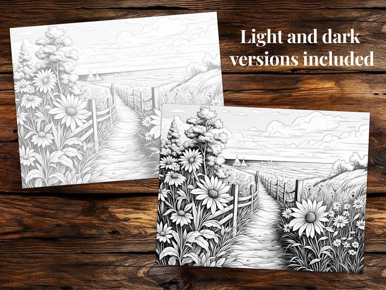 May include: A black and white line drawing of a path leading to a beach with sailboats in the distance. The path is lined with a wooden fence and wildflowers.