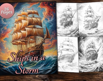 May include: A coloring book with 26 pages featuring a detailed illustration of a ship sailing through a stormy sea. The cover features the text "Ships in a Storm" in pink cursive lettering.