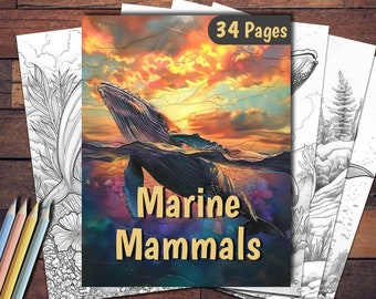 Libro para colorear de mamíferos marinos: 34 páginas imprimibles (PDF)