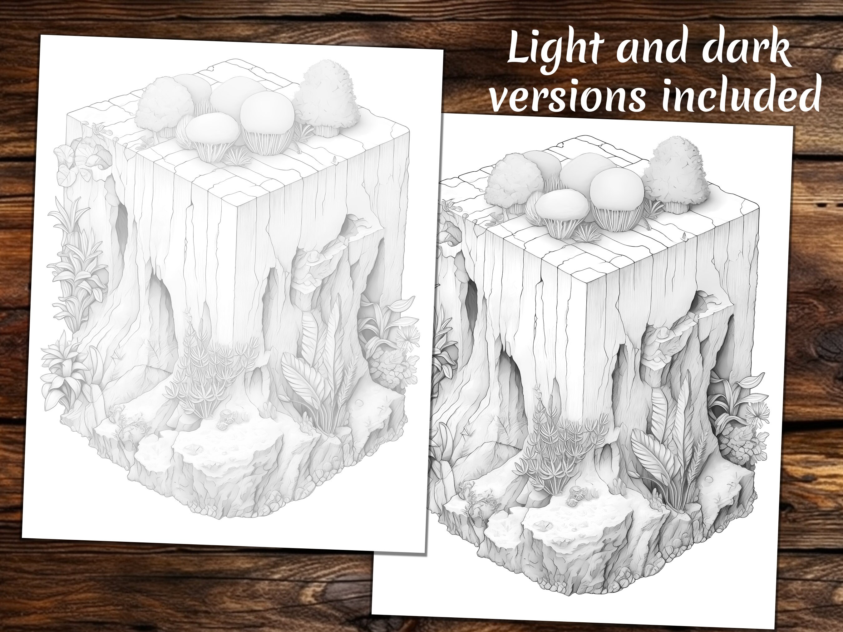 Biome Cube Coloring Book: Fantasy Landscape Grayscale (PDF) - Etsy