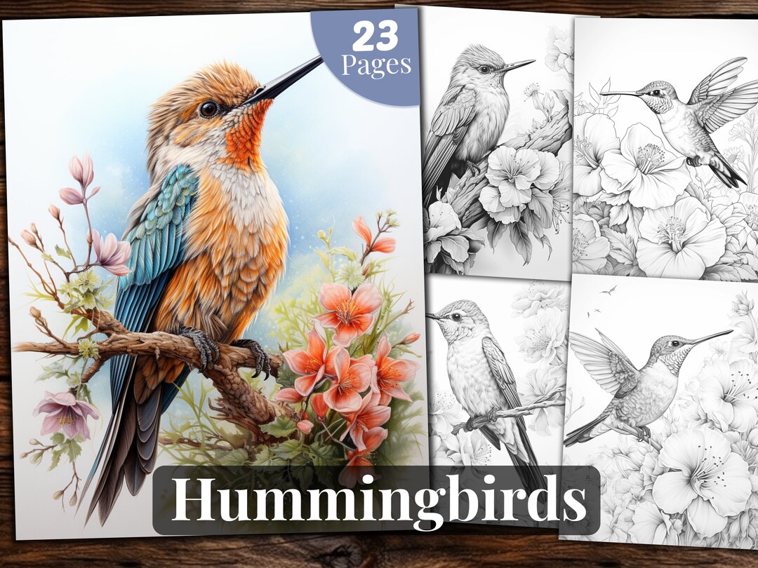 Hummingbirds Coloring Book: 23 Grayscale Pages (printable PDF) - Etsy