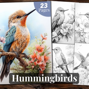 Hummingbirds Coloring Book, 23 Coloring Pages, for Adults and for Kids coloring, Grayscale Coloring Book, Printable PDF