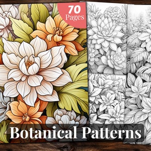 Molly Suzanne Co Healing Botanicals Adult Coloring Book Best