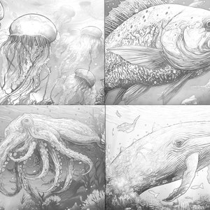 Underwater Animals Coloring Page Book, Adults & Kids- Instant Download