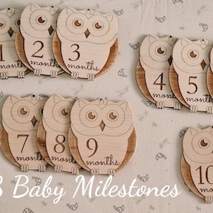 18 baby mijlpalen OWL Wood Cards, newborn maand tracker, kinderkamer decoratie, babyshower ideeën