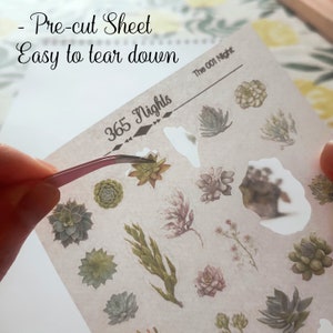 May include: A translucent sticker sheet featuring various succulent illustrations, labeled 365 Nights and The 001 Night. The text Pre-cut Sheet Easy to tear down is printed at the top. A pair of pink tweezers is lifting one small succulent sticker.