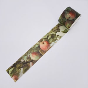 Lot de rubans adhésifs Washi adhésifs Apple Fruits larges, lot de rubans adhésifs Washi automne automne pour scrapbooking, carnet de voyage éphémères