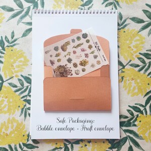 May include: A tan paper envelope containing a translucent sheet of succulent stickers with the text 365 Nights and The Oil Page, placed on a white spiral-bound notepad with the printed text Safe Packaging: Bubble envelope + Kraft envelope.