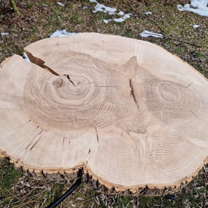 Rustic oak slices with natural pattern