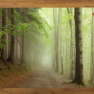 Forest Rug, Nature Landscape Rug, Trendy Rugs, Landscape Rug, Art Rug, Entryway Rug, Salon Decor Rug, Personalized Rug, 3D Printed Rug,