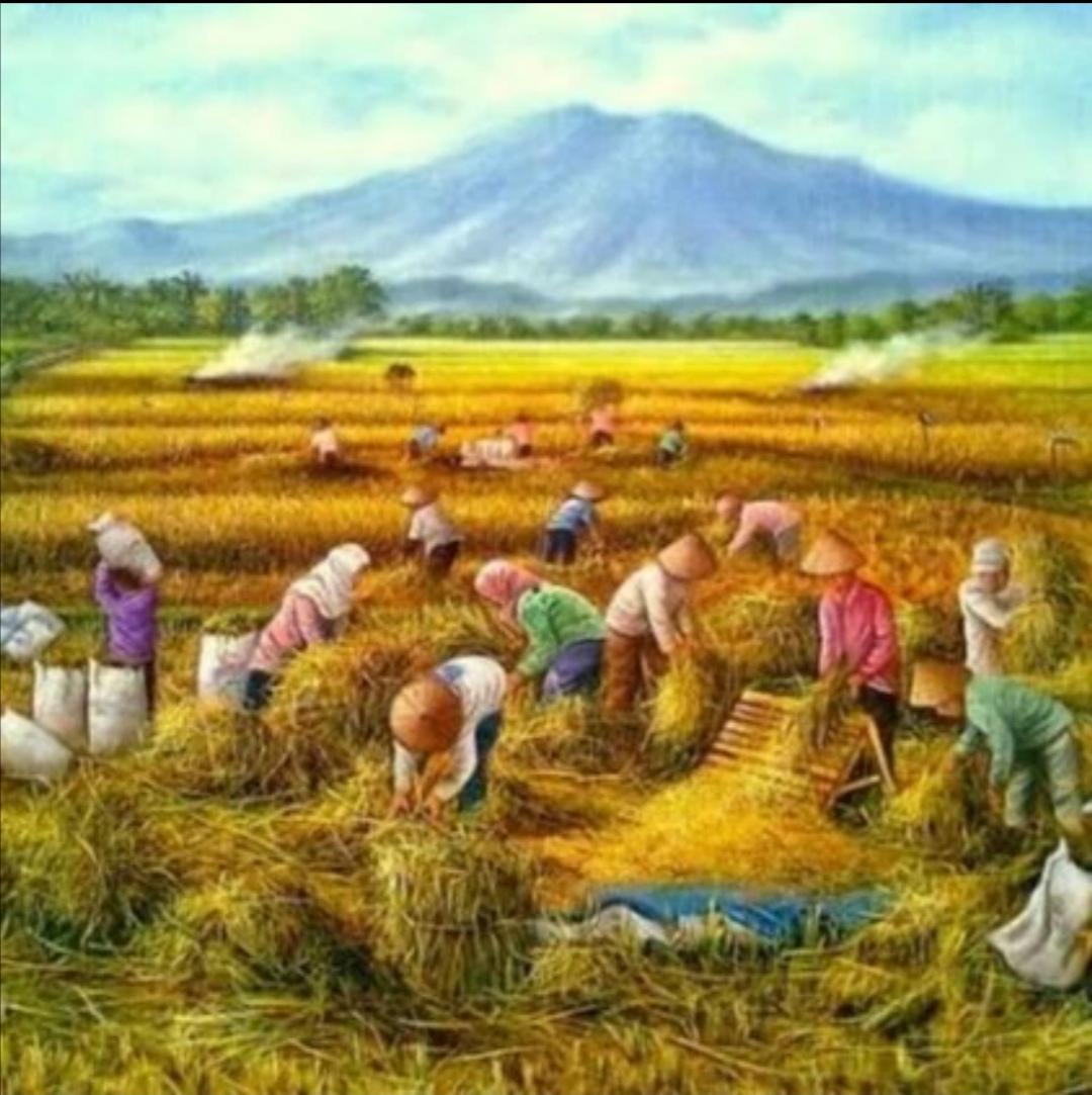 Painting of Rice Field Scenery, Beautiful Rice Harvest 85x135cm - Etsy