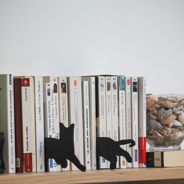 Cat 6 - Decoration for bookcase