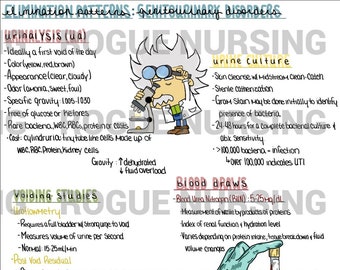 Neuro Study Guide Bundle Neurological System Disorders Neurological ...