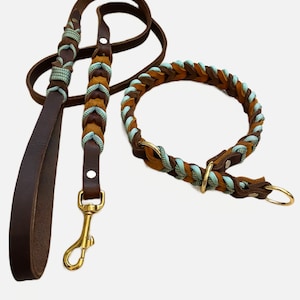 Set of leather leash and collar