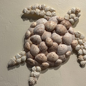 Seashell Turtle