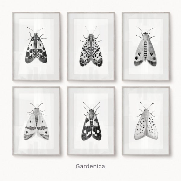 Set of Six Minimalist Prints, Moth Pencil Sketch, Minimalistic Art, Pencil Drawing, Black and White Print, Printable Art, Digital Download