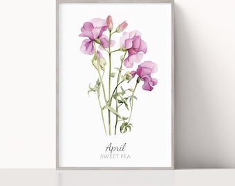 Sweet Pea April Birth Flower Watercolor Print, Minimalistic Floral Art, Birthday Gift, Instant Download