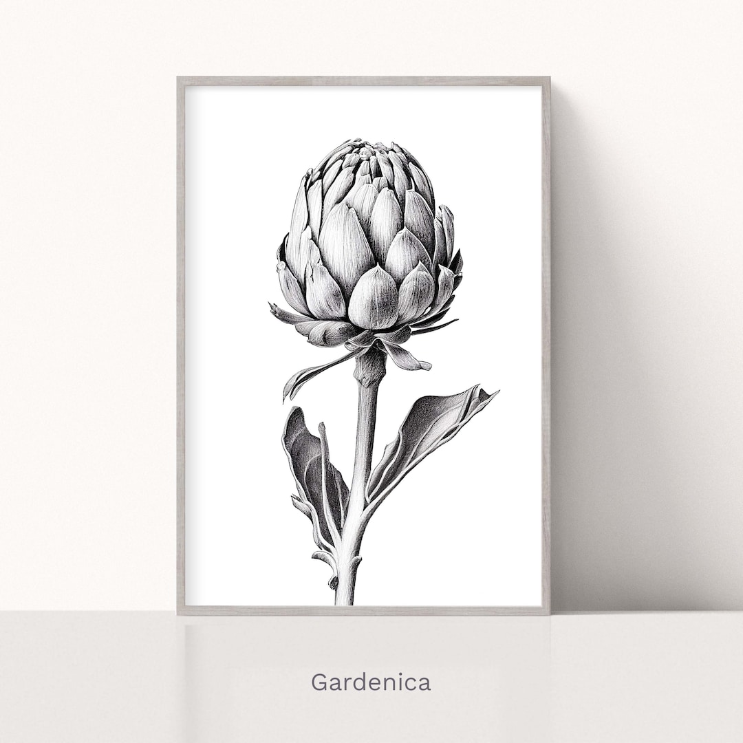 Artichoke Pencil Drawing Print, Minimalist Wall Decor, Black and White