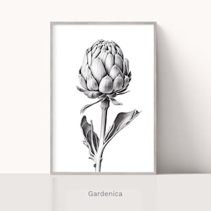 Stampa disegno a matita di carciofo, decorazione murale minimalista, arte in bianco e nero, schizzo botanico, arte digitale, arte stampabile