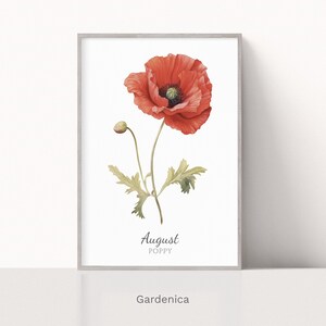 Poppy August Birth Flower Watercolor Print, Minimalistic Floral Art, Birthday Gift, Instant Download