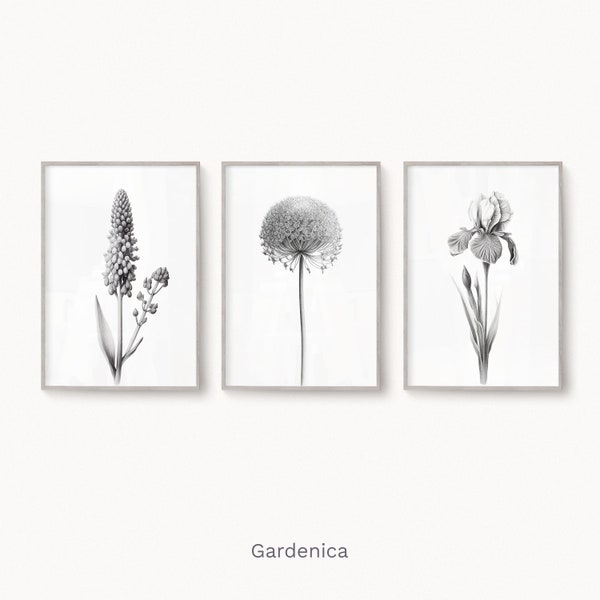 Set of Three Flower Drawings, Allium Iris Hyacinth, Minimalistic Art, Pencil Drawing, Monochromatic Print, Digital Printable Download