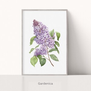 Watercolor Lilac Flower Print Wall Art, Botanical Drawing, Spring Art, Floral Illustration, Digital Download, Printable Art