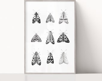 Minimalistisk blyertsteckning, nio nattfjärilar, fjärilar, svartvit konst, väggkonst för vardagsrum, utskrivbar konst, digital nedladdning