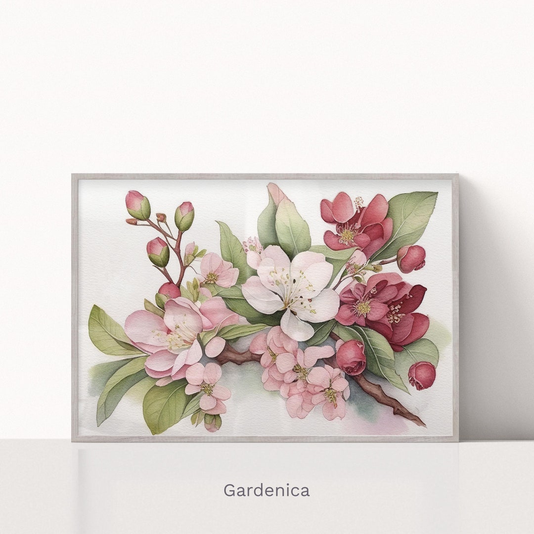 Apple Blossom Watercolor Painting, Botanical Drawing, Printable Art ...