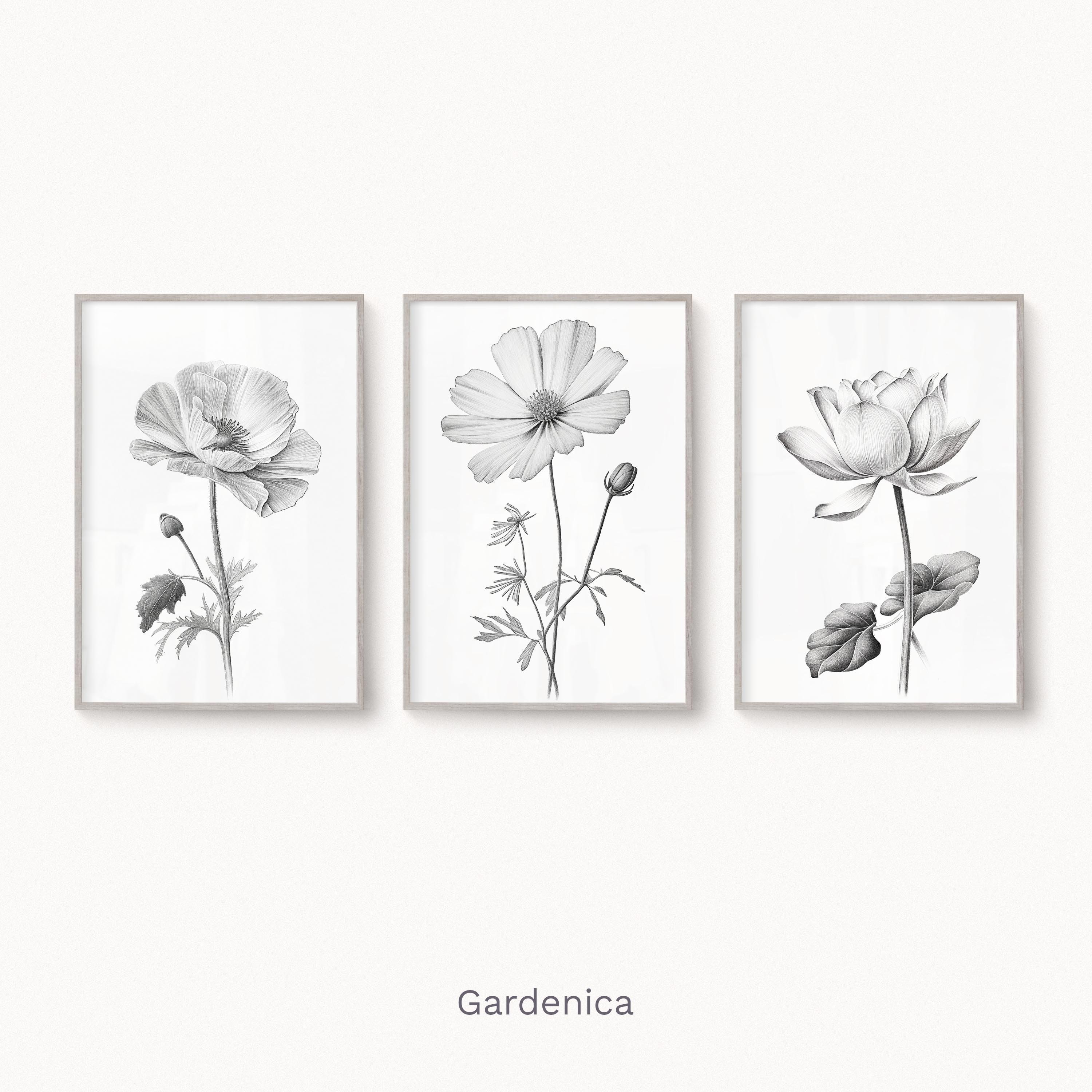 Set of Three Flowers Drawing, Minimalistic Modern Wall Art, Pencil
