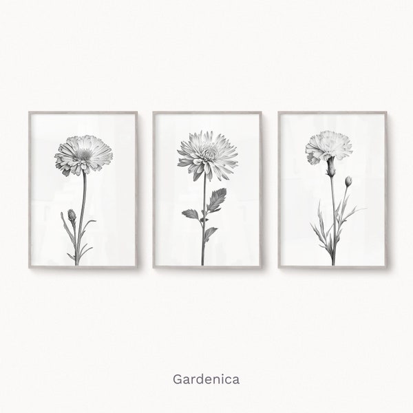 Set of Three Summer Flowers, Pencil Drawing, Marigold Dianthus Chrysanthemum, Minimalistic Art, Digital Printable Download