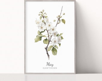 Hawthorn mayo nacimiento flor acuarela impresión, arte floral minimalista, regalo de cumpleaños, descarga instantánea