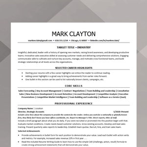 CV exécutif compatible ATS, design moderne, gestionnaire, directeur, pages de niveau 2 de la suite C, formats US et A4 (gris doux)