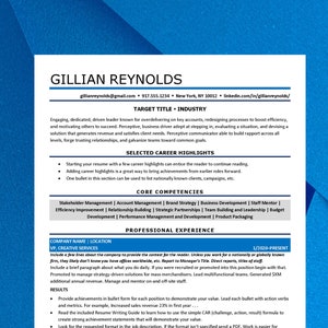 CV exécutif compatible ATS, Design moderne, Manager, Director, C-Suite Level 2 Pages, US et A4 Formats (Blue/Grey Shaded Design)