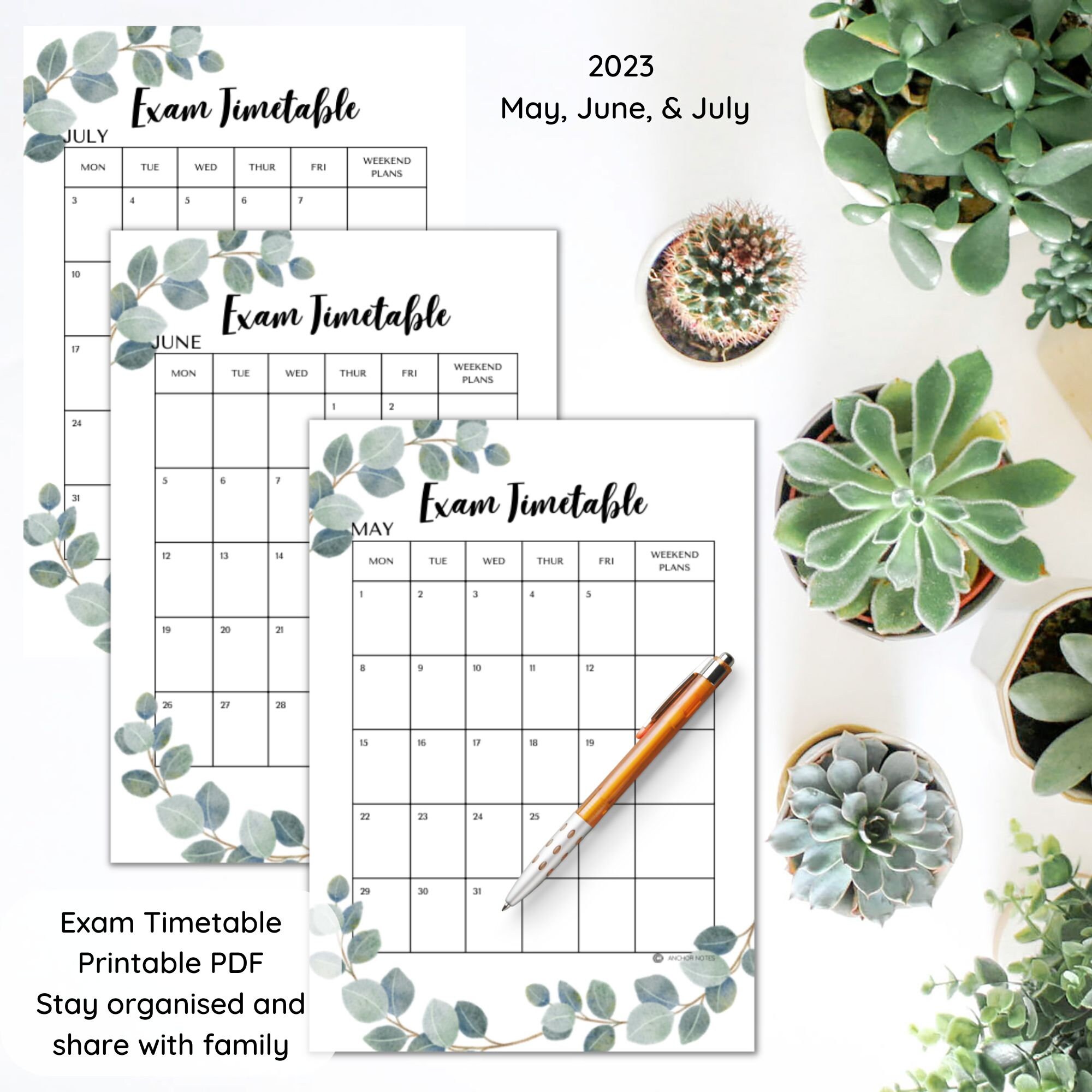 UK GCSE A Level 2023 Exam Prep and Revision Bundle. Top Tips. Modern