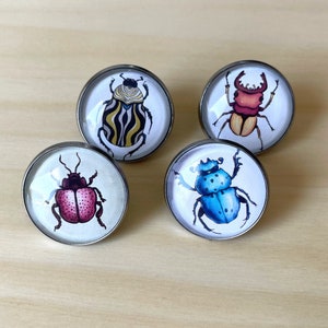 Bug Jewelry Brooch Set - Insect Pin Set - Unique Gift for Insect Lover - Entomology and Goblincore Gift - Four 20 mm Cabochon Pins