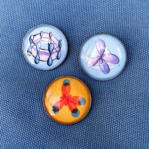 Organic Chemistry Molecule Pins: Stylish Science Jewelry for Chemists, Researchers and STEM Enthusiasts