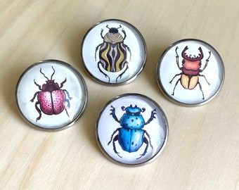 Goblincore Jewelry: Insect Brooch Set - Gift for Insect Lovers with Beetle Art - Stainless Steel Entomology Pin Set