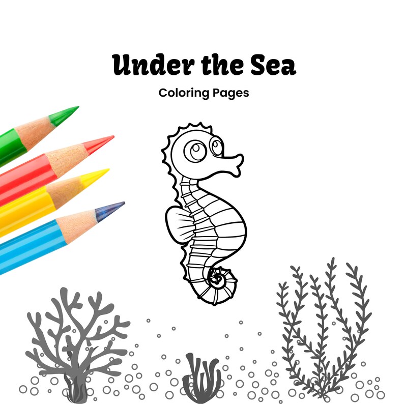 ocean-adventures-a-marine-animal-coloring-book-for-kids-etsy-canada
